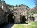 DSC03592 - Copy